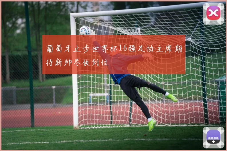 葡萄牙止步世界杯16强足协主席期待新帅尽快到位