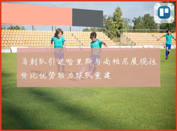 马刺队引进哈里斯与尚帕尼展现性价比优势助力球队重建